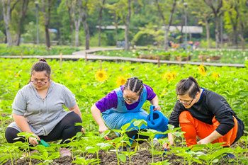 Children With Autism And Down Syndrome Learning To Plant  — Disability Services & Support in Sunshine Coast, QLD
